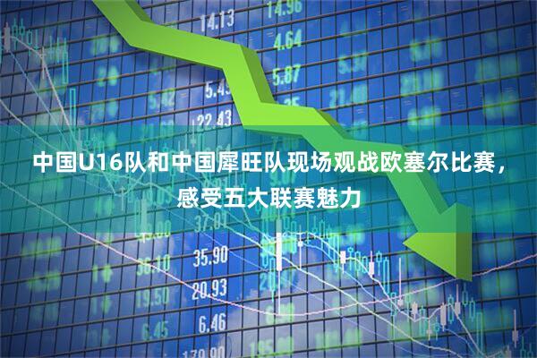 中国U16队和中国犀旺队现场观战欧塞尔比赛，感受五大联赛魅力